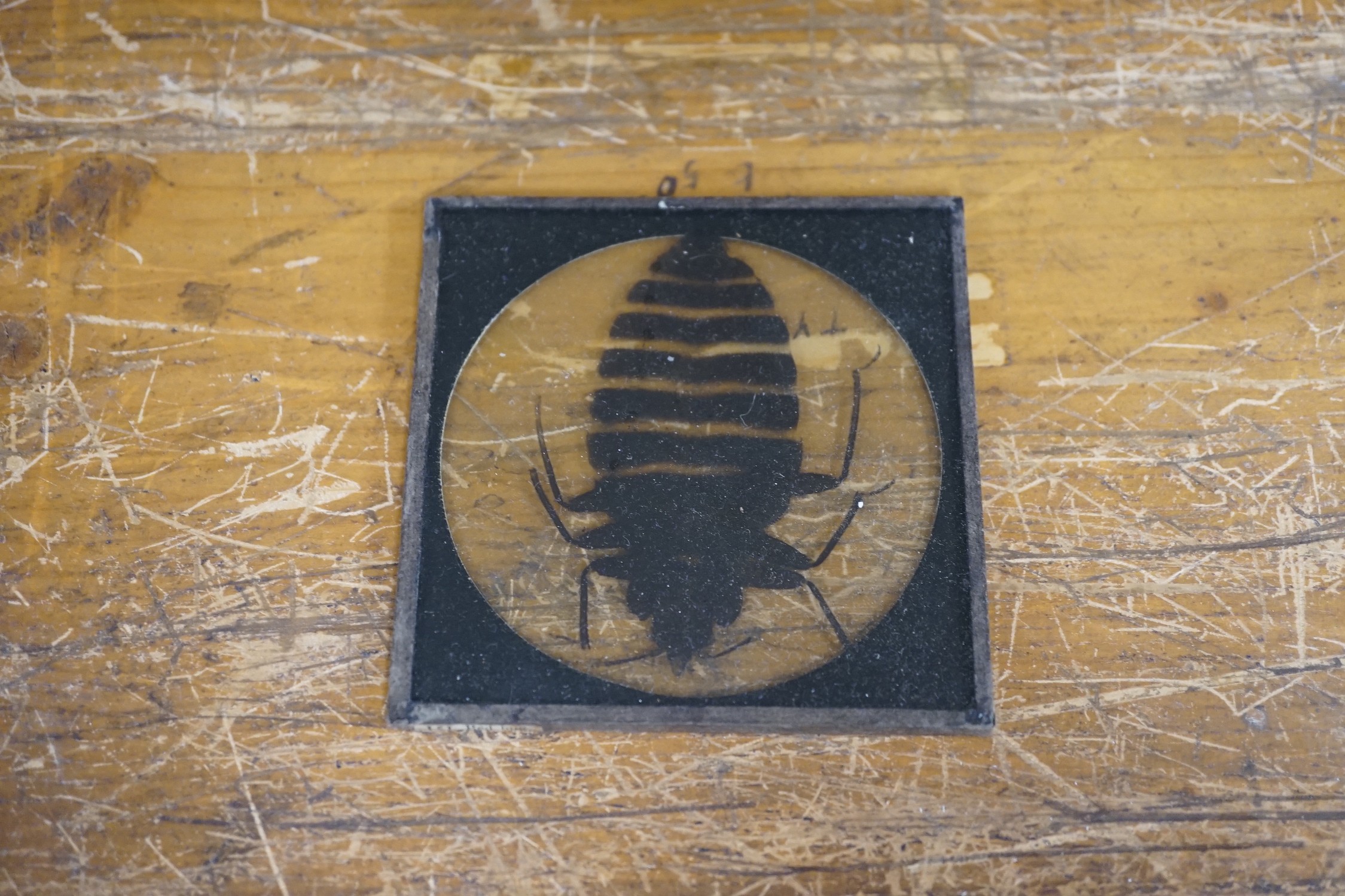 A collection of approximately 300 magic lantern slides